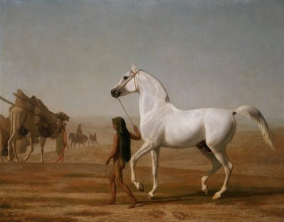 O Arábico Wellesley Grey Led através do Deserto de Jacques Laurent Agasse