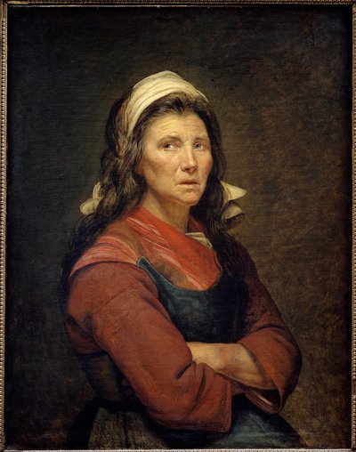 Um maraichere. Pintura de Jacques Louis David (1748-1825) de Jacques Louis David
