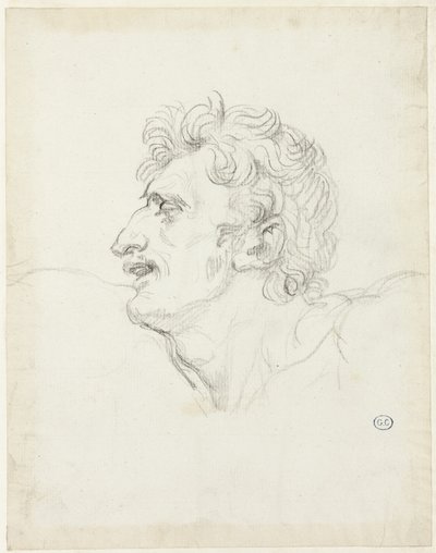 Cabeça de um homem, perfil esquerdo de Jacques Louis David