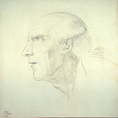 Cabeça de um velho em perfil de Jacques Louis David