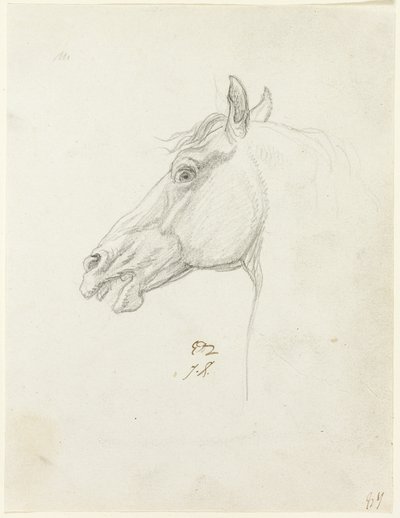 Cabeça de cavalo de Jacques Louis David