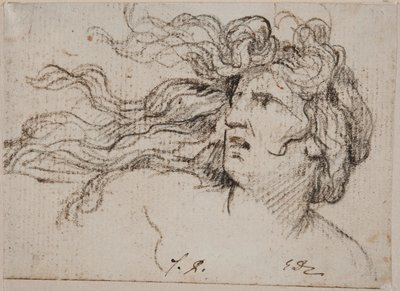 Cabeça de mulher com cabelo esvoaçante de Jacques Louis David