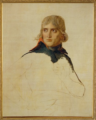 Napoleão Bonaparte ... de Jacques Louis David