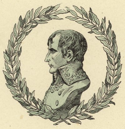 Busto de Napoleão Bonaparte de Jacques Marie Gaston Onfray de Breville (Job)