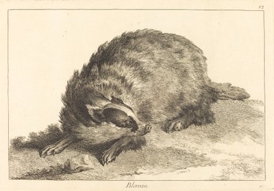 Blereau (Texugo) de Jacques Philippe Le Bas and Jean Eric Rehn after Jean Baptiste Oudry