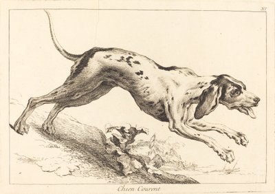Chien courent (Running Hound) de Jacques Philippe Le Bas and Jean Eric Rehn after Jean Baptiste Oudry
