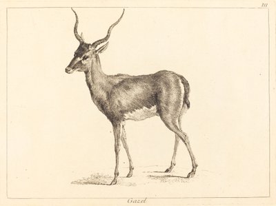 Gazela (Gazela) de Jacques Philippe Le Bas and Jean Eric Rehn after Jean Baptiste Oudry
