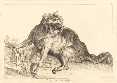 Lobo preso em uma armadilha de Jacques Philippe Le Bas and Jean Eric Rehn after Jean Baptiste Oudry