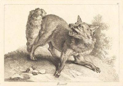 Renard (Raposa) de Jacques Philippe Le Bas and Jean Eric Rehn after Jean Baptiste Oudry