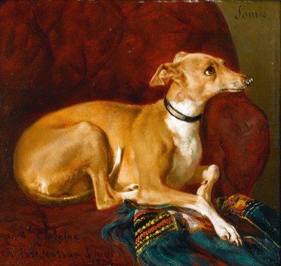 Um galgo a descansar numa cadeira de Jacques Raymond Brascassat