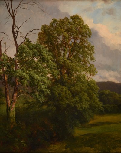 Os Cenários de Jacques Raymond Brascassat