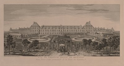 O Hospital Real de Bicestre. de Jacques Rigaud