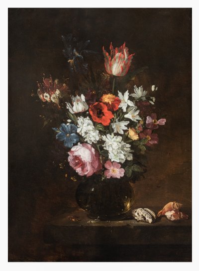 Uma rosa, tulipa, íris, papoulas, madressilva e outras flores em um vaso de vidro com conchas em uma borda de Jacques de Claeuw