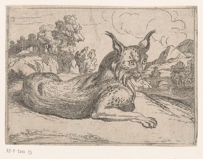Lince Animais em paisagens (título da série) de Jacques de Fornazeris (attributed to)