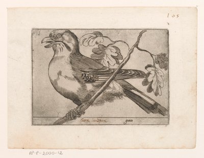 Gaai
Gaio (título sobre o objecto)
Vogels (título da série) de Jacques de Fornazeris (possibly)