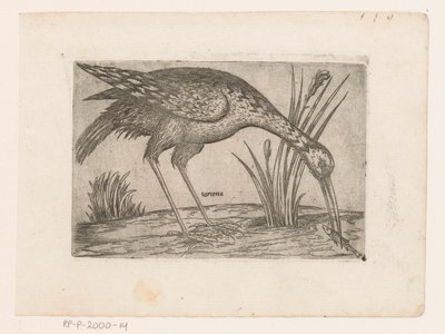 Vogel
Tartena (título sobre o objecto)
Vogels (título da série) de Jacques de Fornazeris (possibly)