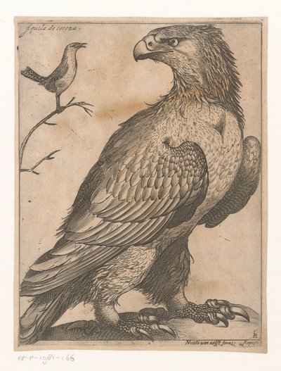 Águia Aquila de Corona (título no objeto) Nine Birds (título da série) de Jacques de Fornazeris