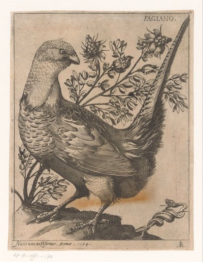 Fazant
Fagiano (título sobre o objecto)
Negen vogels (título da série) de Jacques de Fornazeris