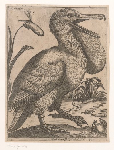 pássaro aquático Sacco Marino (título no objeto) Nine Birds (título da série) de Jacques de Fornazeris