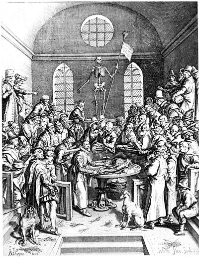 Teatro de anatomia do final do século XVI, Jacques de Gehyn, o Velho, 1633 de Jacques de Gehyn the Elder