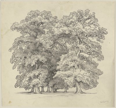  de Jakob Becker