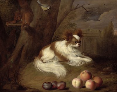 Imagem desconhecida de Jakob Bogdani or Bogdany