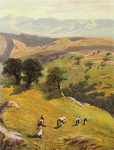 Entre Jerusalém e Jericó (cor litho) de James (after) Clark