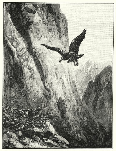 Ninho de águia no Monte Sinai (litho) de James (after) Clark