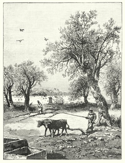 Arar numa vinha (litho) de James (after) Clark