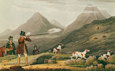 Tiro ao galo silvestre (gravura a cores) de James (after) Pollard