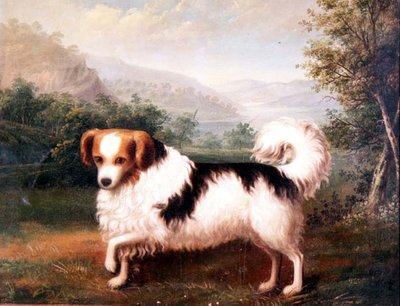 Um Papillon Phallene em uma paisagem montanhosa de James (attr. to) Barenger