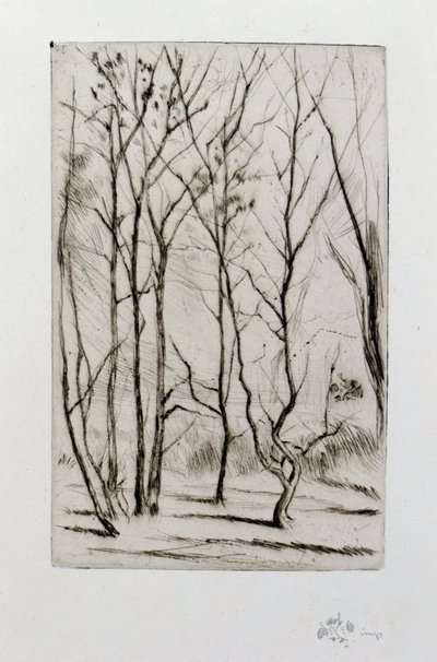 The Dam Wood de James Abbott McNeill Whistler