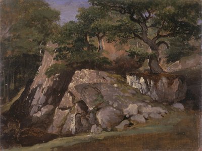 Uma vista do vale das rochas perto de Mittlach (Alsácia) de James Arthur OConnor