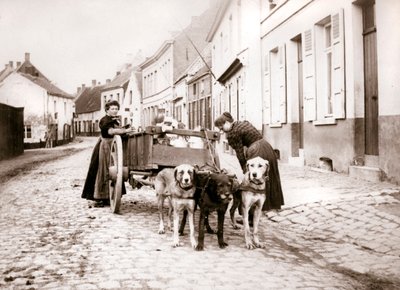 Mulheres e carro de cachorro, Antuérpia, 1898 de James Batkin