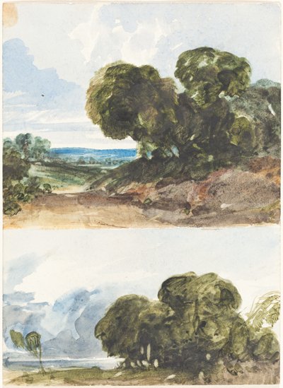 Dois esboços de árvores de James Bulwer