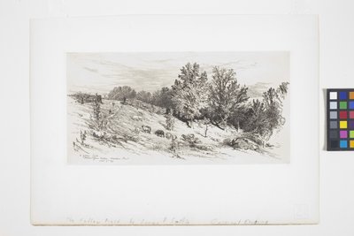 Um campo de pousio (tinta) de James David Smillie