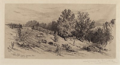 Um campo de pousio de James David Smillie