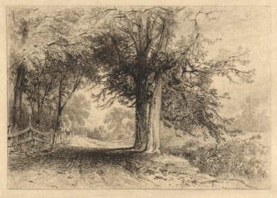 A Farm Lane, Jan. 1887, Opus 2 de James David Smillie