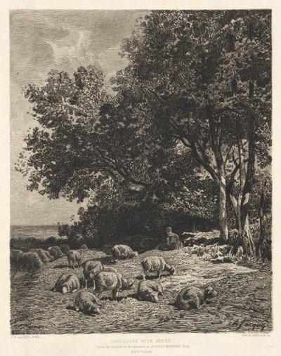 Paisagem com Ovelhas, depois de Ch-Jacque de James David Smillie
