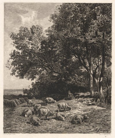 Pastoreio de ovelhas de James David Smillie