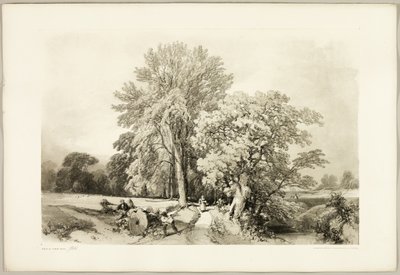 Abele e Carvalho, de The Park and the Forest de James Duffield Harding