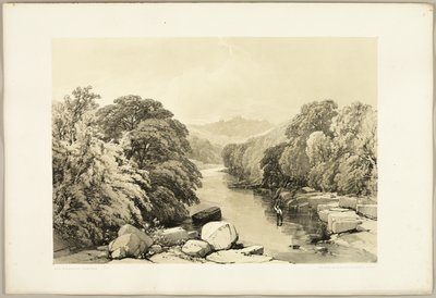 Ash, Sycamore e Oak, do Parque e da Floresta de James Duffield Harding