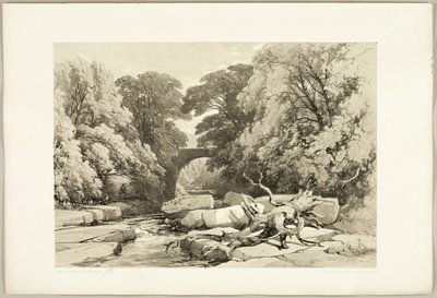 Cinzas e Amieiros na Greta, do Parque e da Floresta de James Duffield Harding