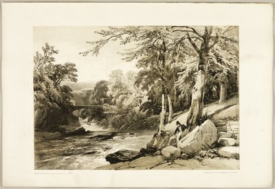 Faia e Freixo na Greta, do Parque e da Floresta de James Duffield Harding
