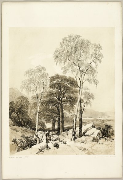 Bétula e Carvalho, de The Park and the Forest de James Duffield Harding