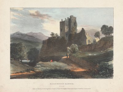 Castelo Dally Hooly de James Duffield Harding