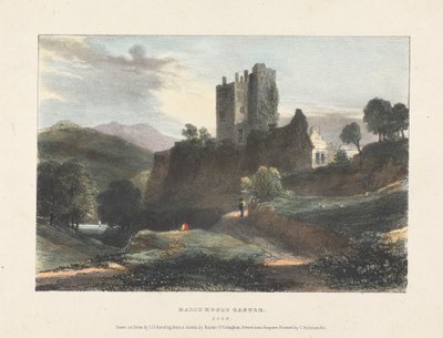 Castelo Dally Hooly de James Duffield Harding