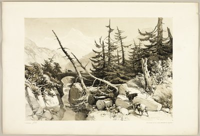 Larch, do Parque e da Floresta de James Duffield Harding