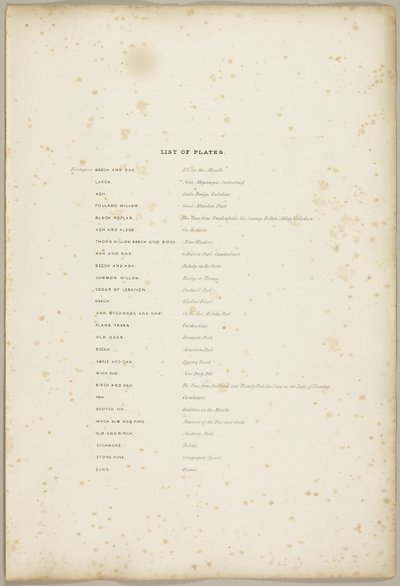 Lista de Pratos, do Parque e da Floresta de James Duffield Harding