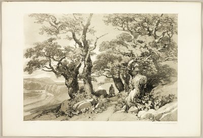 Old Oaks, do Parque e da Floresta de James Duffield Harding
